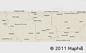 Shaded Relief Panoramic Map of Webster Parish
