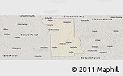 Shaded Relief Panoramic Map of Webster Parish, semi-desaturated
