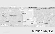 Silver Style Panoramic Map of Webster Parish