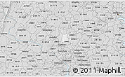 Silver Style 3D Map of ZIP code 20906