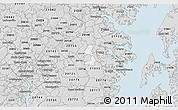 Silver Style 3D Map of ZIP code 21054
