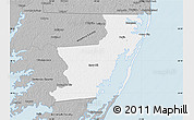 Gray Map of Worcester County