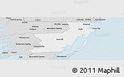 Silver Style Panoramic Map of Worcester County