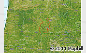Satellite Map of ZIP code 49078