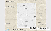 Classic Style Map of Newaygo County
