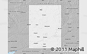 Gray Map of Newaygo County
