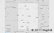 Silver Style Map of Newaygo County