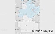 Silver Style Map of Lake of the Woods County