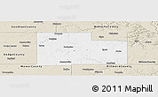 Classic Style Panoramic Map of Olmsted County