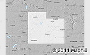 Gray Map of Rice County