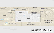 Classic Style Panoramic Map of Rice County