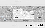 Gray Panoramic Map of Rice County