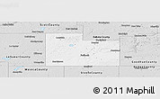 Silver Style Panoramic Map of Rice County