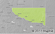 Physical 3D Map of Sherburne County, desaturated