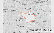 Silver Style Map of ZIP code 63020