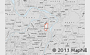 Silver Style Map of ZIP code 63136
