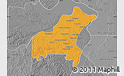 Political Map of Saint Louis County, desaturated