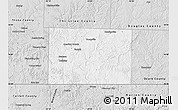 Silver Style Map of Taney County