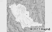 Gray Map of Beaverhead County