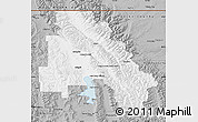 Gray Map of Flathead County