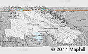 Gray Panoramic Map of Flathead County