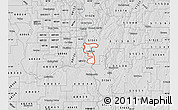 Silver Style Map of ZIP code 68005