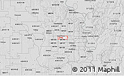 Silver Style 3D Map of ZIP code 68154