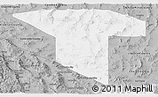 Gray Panoramic Map of Nye County