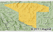 Savanna Style Panoramic Map of Nye County