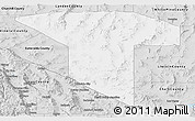 Silver Style Panoramic Map of Nye County