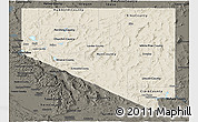 Shaded Relief Panoramic Map of Nevada, darken