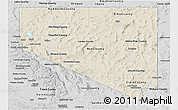 Shaded Relief Panoramic Map of Nevada, desaturated