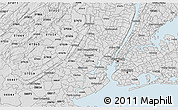 Silver Style 3D Map of ZIP code 07029