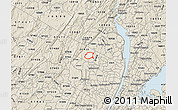 Classic Style Map of ZIP code 07446