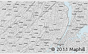 Silver Style 3D Map of ZIP code 07502