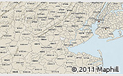 Classic Style 3D Map of ZIP code 08830
