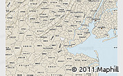 Classic Style Map of ZIP code 08830