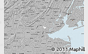 Gray Map of ZIP code 08830