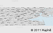 Silver Style Panoramic Map of ZIP code 08830