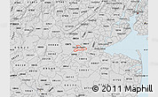 Silver Style Map of ZIP code 08901