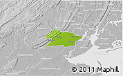 Physical 3D Map of Union County, lighten, desaturated