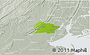 Physical 3D Map of Union County, lighten, semi-desaturated