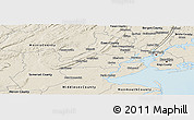 Shaded Relief Panoramic Map of Union County