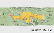Savanna Style Panoramic Map of ZIP code 87004