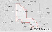 Silver Style 3D Map of ZIP code 88118