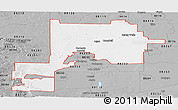 Gray Panoramic Map of ZIP code 88201
