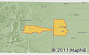 Savanna Style 3D Map of ZIP code 88250