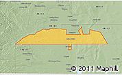 Savanna Style 3D Map of ZIP code 88253