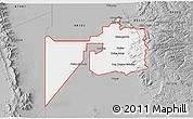 Gray 3D Map of ZIP code 88310