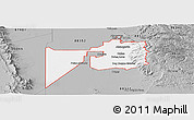 Gray Panoramic Map of ZIP code 88310